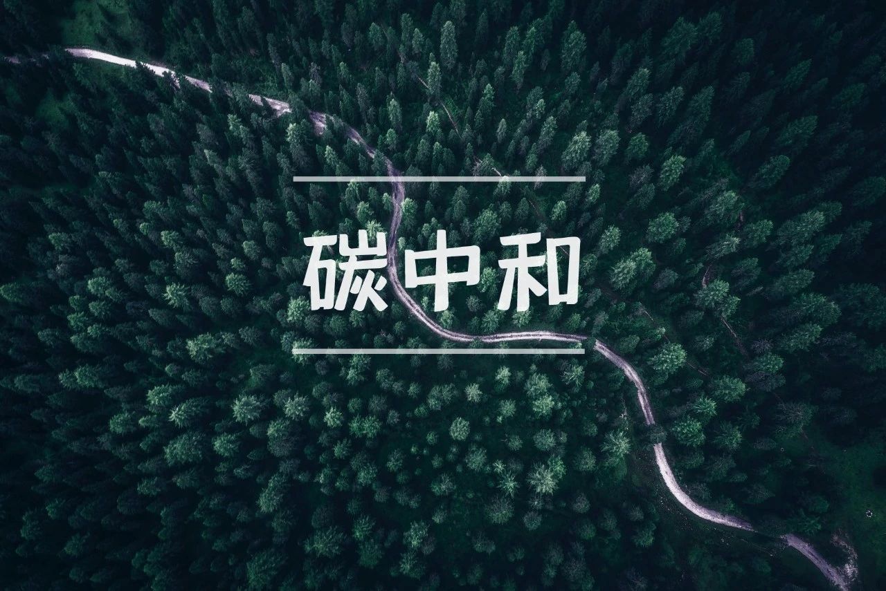 打好實現(xiàn)碳達(dá)峰碳中和這場硬仗